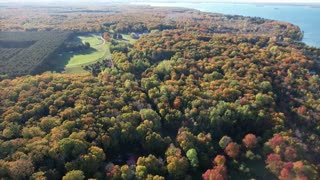 Autumn in Curtis Michigan 2021