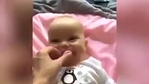 Funny Babies Video Funny Baby Laughing