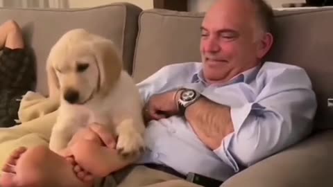 Funny Animal | Dad's after getting a dog they didn't want.