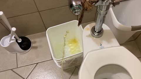 drip urination