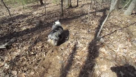 Hiking down from second section