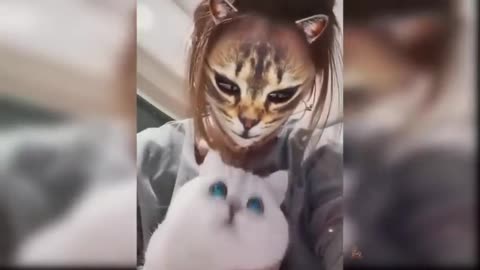 Cats 2021 Funny Compilation