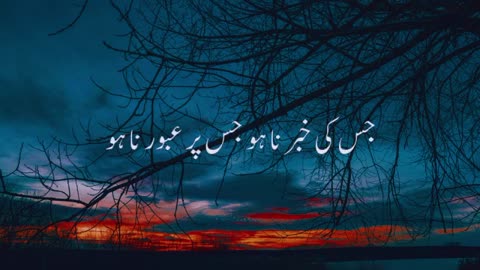 hazrat ali