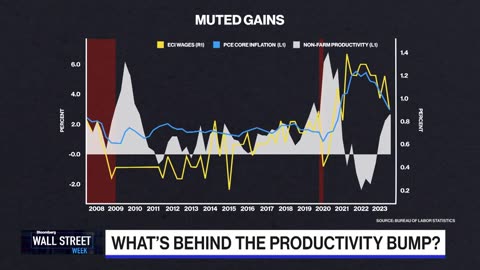 The Puzzle of the US Economy