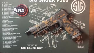 Sig Sauer P320 trigger upgrade options