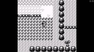 playing pokemon red