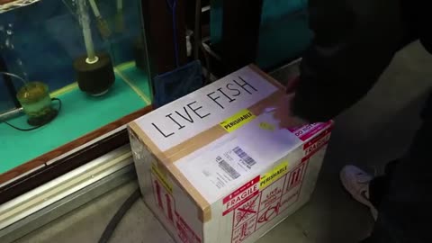 Kenny's Discus Unboxing