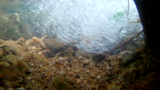 Underwater mountain | Short Video