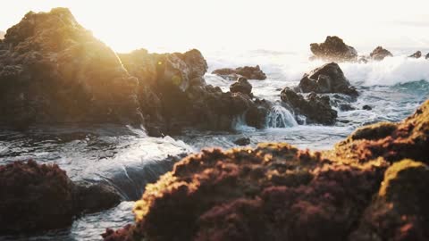 Beautiful landscape to admire with the sound of a violin