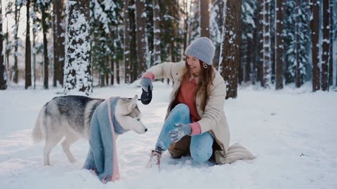 husky lovers shoud see this one