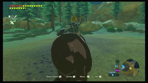 Zelda BOTW Bear