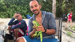 Iguana petting beer can island