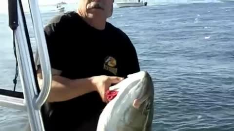 Stripers Bass Fishing