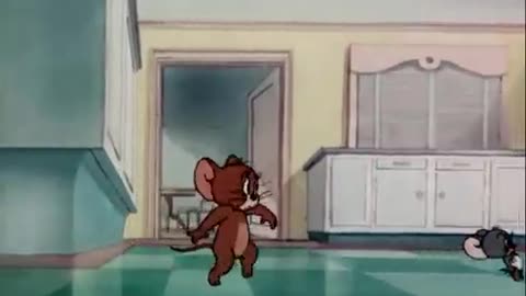 Tom and jerry the milky wafe cartoons