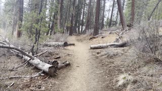 Exploring the Beautiful Deschutes River Trail & Deschutes National Forest – Central Oregon – 4K