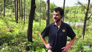 Moment Eastern Indigo Snake Released Into Conecuh National Forest