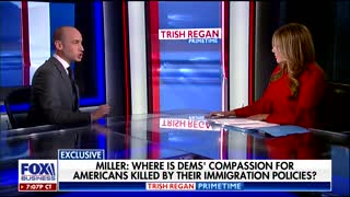 Stephen Miller exposes the way the left smears everybody they dislike