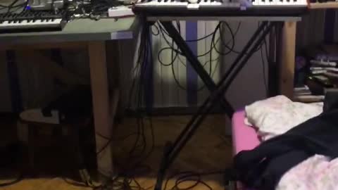 Cat Playing Horrifying Music on Synthesizer