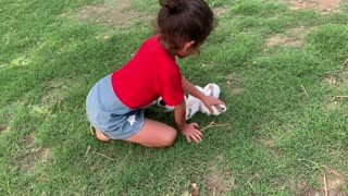 Baby Playing with rabbits