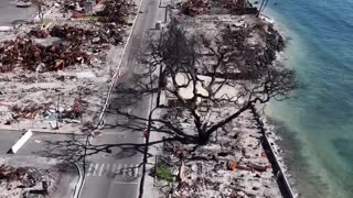 Hawaii: Sad to see the outlines of the burnt vehicles still scorched in the pavement.