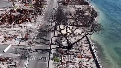 Hawaii: Sad to see the outlines of the burnt vehicles still scorched in the pavement.