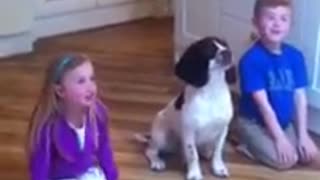 Perro adora realizar trucos con sus hermanos humanos