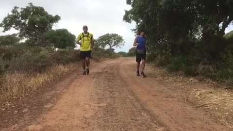 cross and sunny running