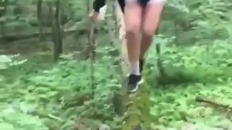 Epic Girl Fail! Girl fell from the tree🙀