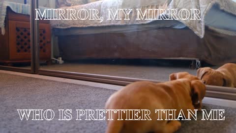 Mirror, Mirror mine, who is prettier than me