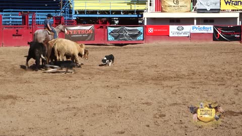 Art of the Cowgirl - Raising Ranch Hands