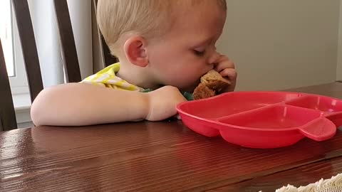 This Tired Baby Is Doing All He Can To Eat His Sandwich