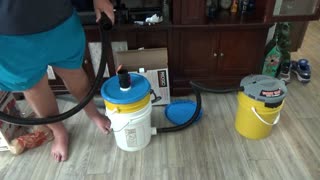 How to make a bee vacuum