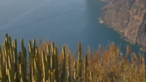 The Alien Island Socotra