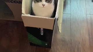 This Box Belongs To Little Now!