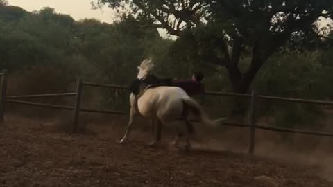 Guy riding horse and falling off from it
