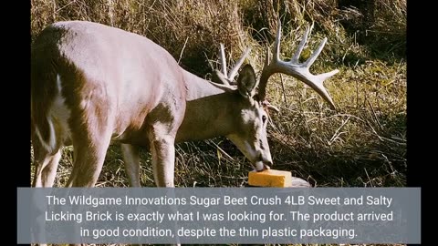 Buyer Reviews: Wildgame Innovations Sugar Beet Crush 4LB Sweet and Salty Licking Brick