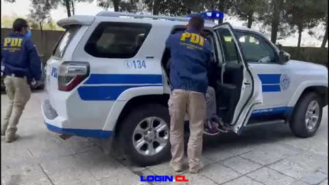 En operativo PDI Valparaíso detiene a tres personas y recupera dos canes sustraídos en violento robo