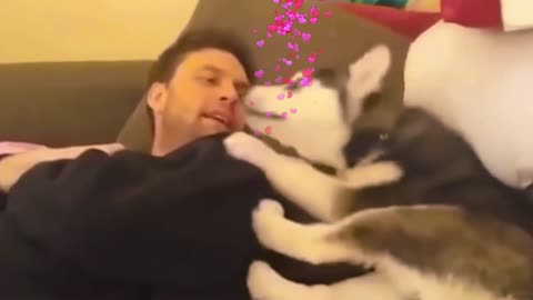 Watch a Husky Puppy🐕❤ arguing with a Man 🤷‍♂️🤦‍♂️❤