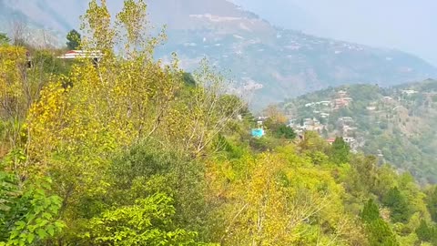 Kohala_Azad_Kashmir_♥️Abbasian_Lower_muree_♥️