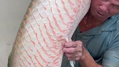 Amazing fishermen Skills 😱😱