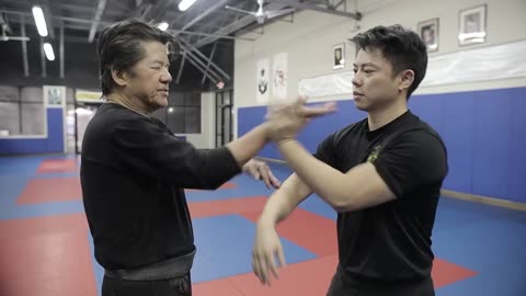 Wing Chun - Using the palm and chops - Kevin Lee and Sifu Francis Wong