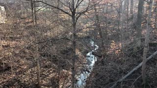 January 5, 2020 - The Creek Behind My House