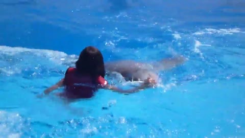 Dolphin Swimming With Little Girl