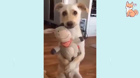 Cute,Funny- Puppies and Smart Dogs Compilation