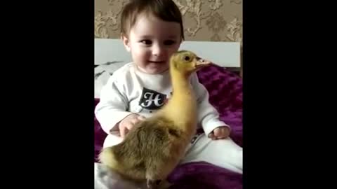 baby and cute baby