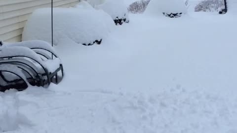 Teen Falls Face First Into the Snow In Failed Polar Bear Plunge