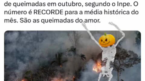 The state of Amazonas registered 2,940 fires in October, according to INPE. The number is a RECORD for the historical average for the month. They are the burnings of love.