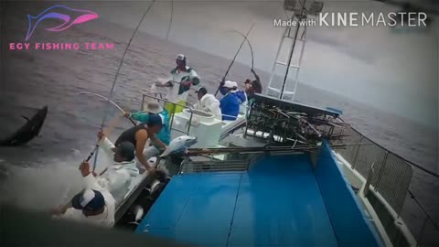 A Watch Commercial Tuna Fishing