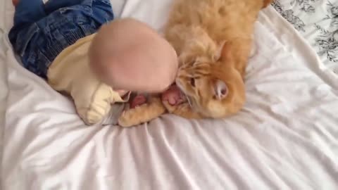 Babies and Cats meet first time ever!