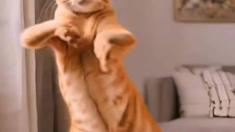 cute cat dance 🐱💙 shorts video #cat #viral #shortsvideo #002